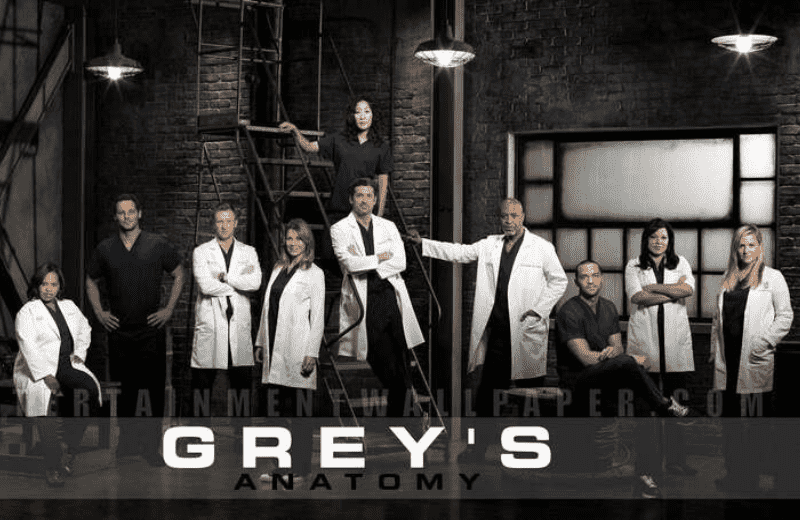 grey's anatomy acteurs